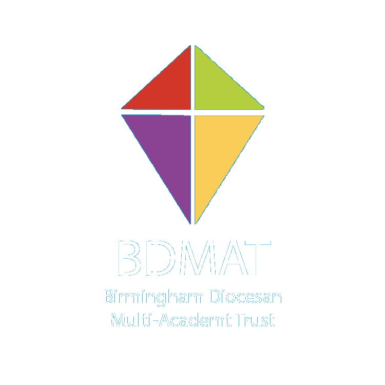 wave9-case-study-birmingham-diocesan-multi-academy-trust-750